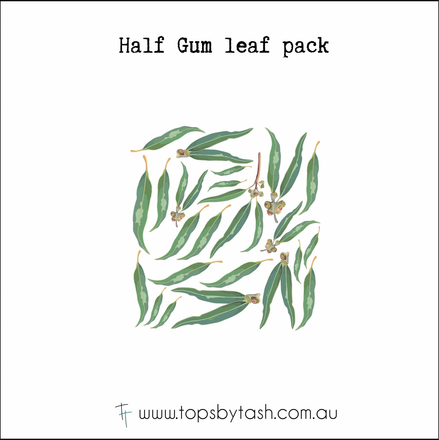 Wall Decals - Australian gum leaves and animals