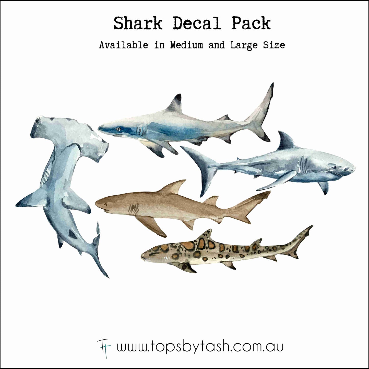 Wall Decals - Sharks